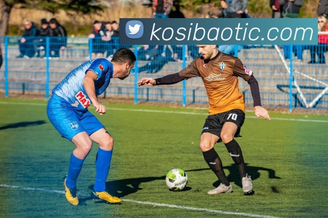 企业概况